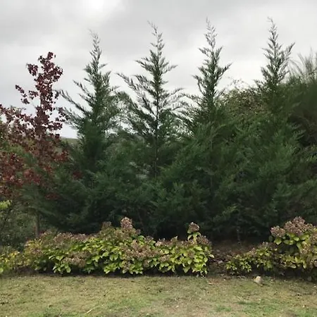 Passadico Art And River House