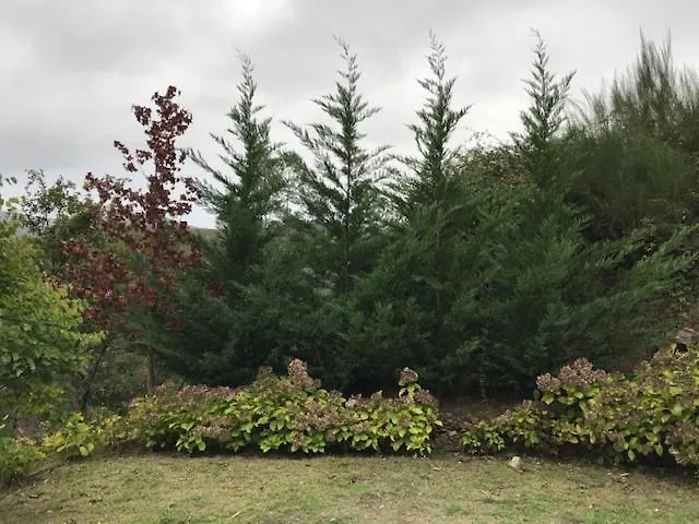 Passadico Art And River House